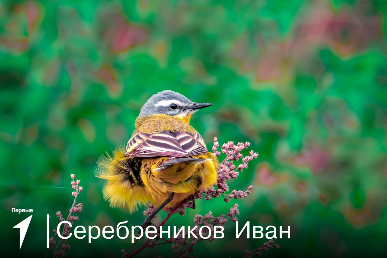 &amp;quot;Посмотри&amp;quot;.
