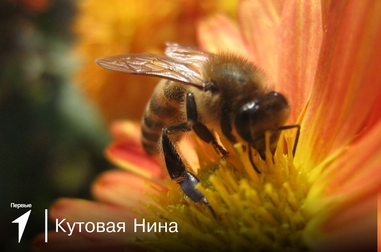 Всероссийский фотофестиваль «Посмотри!».