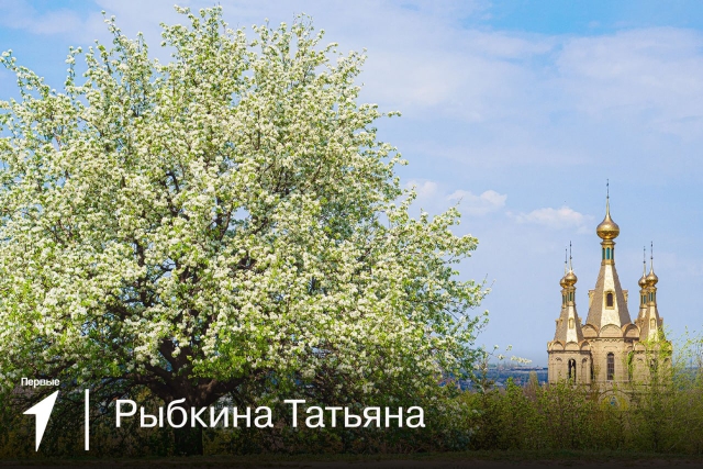 «Посмотри, как всё красиво! Посмотри, простор какой!».