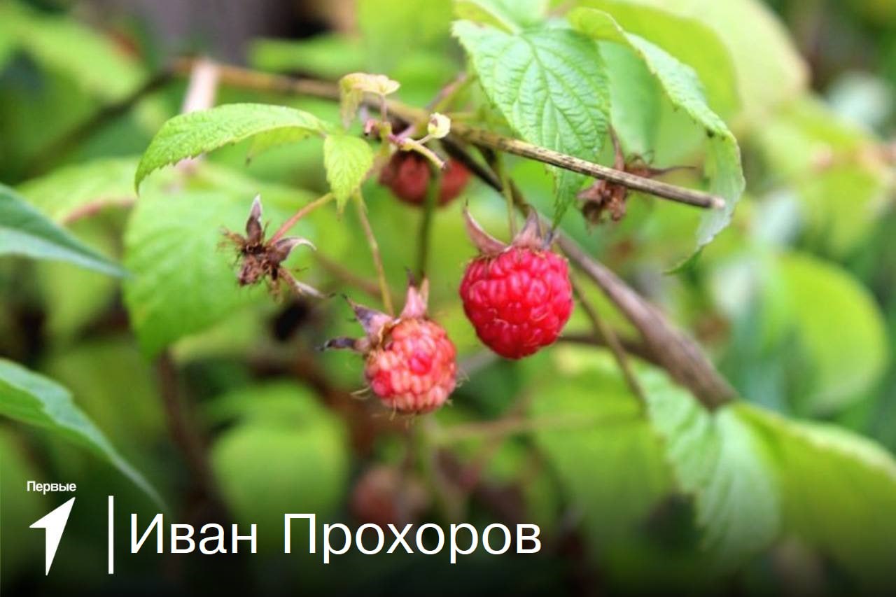 Лето в живописных местах.