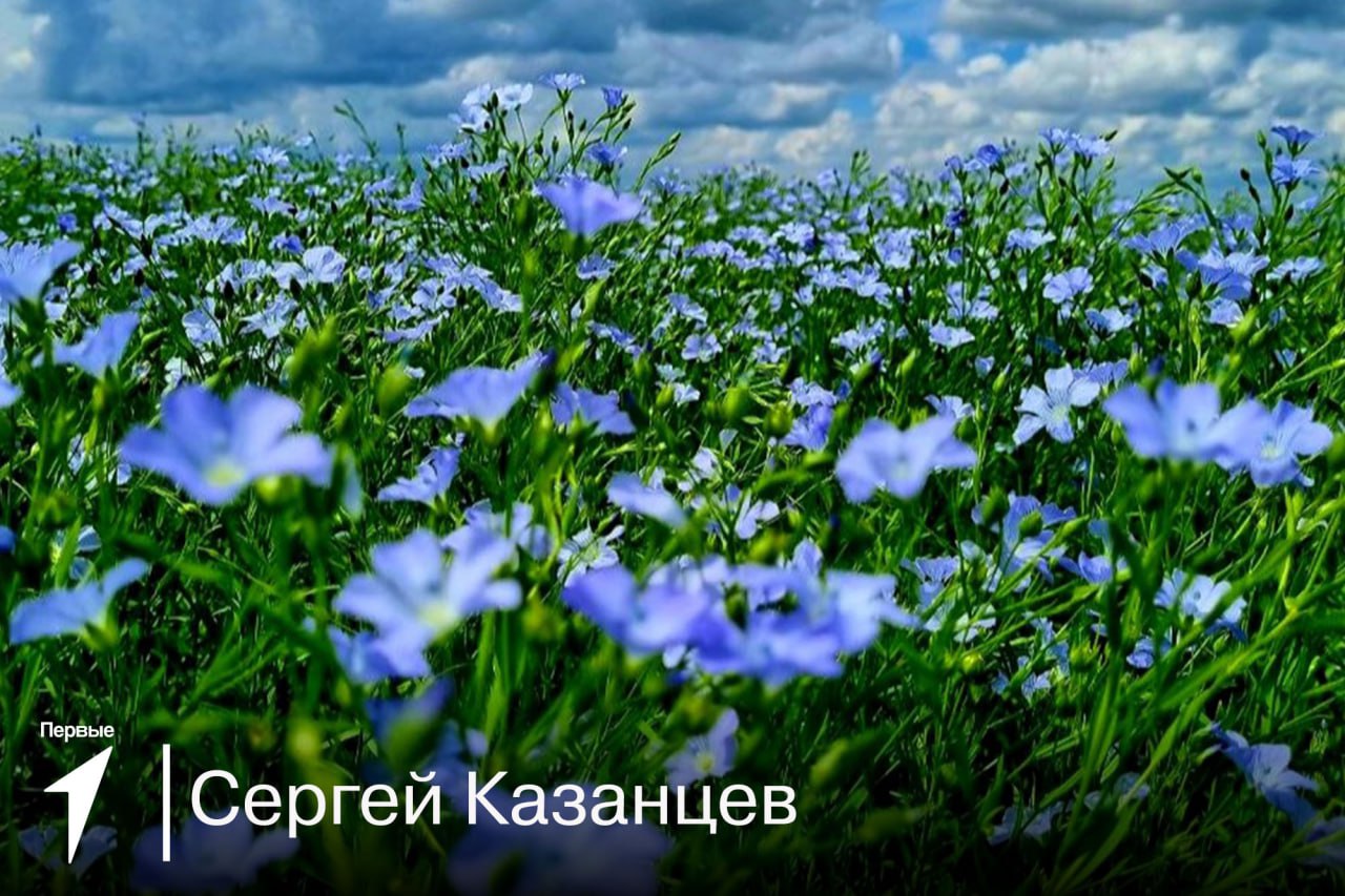 Фотографии в рамках фотоконкурса &amp;quot;Посмотри!&amp;quot;.