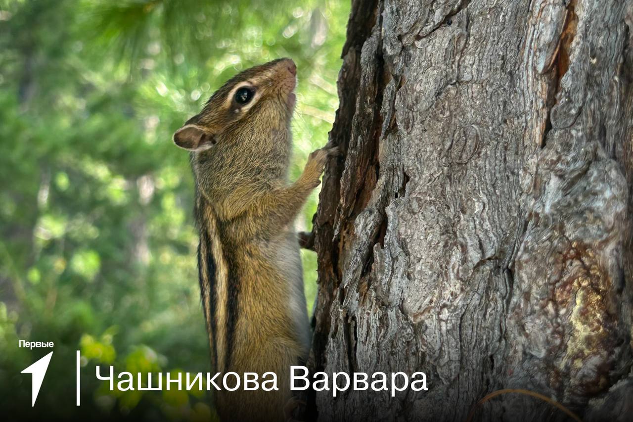 Прекрасное вокруг себя.