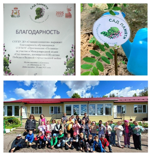 Международная акция «Сад Памяти»#Победа80 #ГодЗащитникаОтечества2025 #СадПамяти.